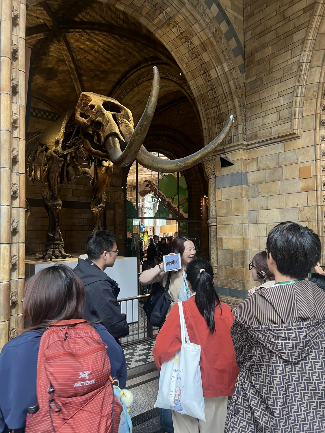 Students at a guided Natural History Museum visit